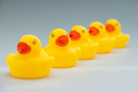 Row or Yellow Rubber Ducks depicting the concept, Having your Ducks in a Rowの写真素材