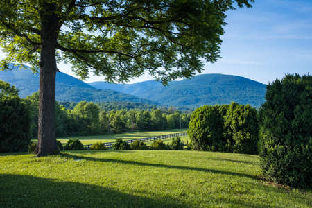 Blue Ridge Mountains with Tree and Green Field in the Foregroundの写真素材