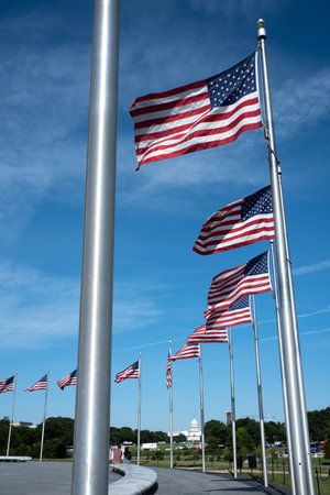 Row of United States of Amercan Flags with the US Capitol in the Backgroundの写真素材