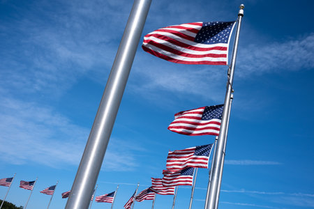 Row of United States of America Flags with Blue Sky and Sunshineの写真素材