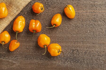 fresh habanero peppers on a burlap sack on a wood backgroundの写真素材