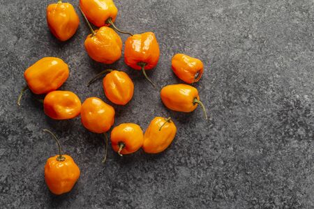 fresh habanero peppers on a dark concrete backgroundの写真素材