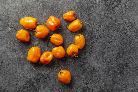 fresh habanero peppers on a dark concrete backgroundの写真素材