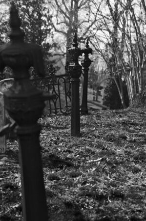 Cemetery Pathの写真素材