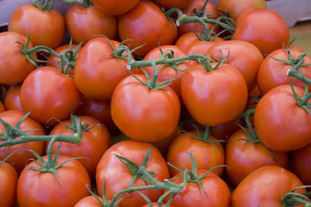 red tomatoes with stems at the local farmers' marketの写真素材
