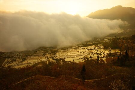 White cloud or fog entering and covering a ricefield landscape in a valley between mountains at sunset in China.の写真素材