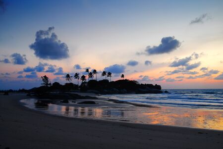 Palm tree silhouette at the beach during sunset at nightfall.の写真素材