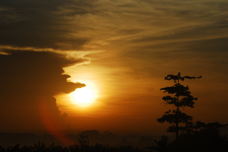 Tree silhouette and a yellow golden sun setting behind it that's almost covered by a cloud, Cipularang Melrimba.の写真素材