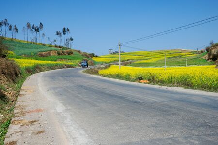Small blue car driving on a gray asphalt road running through a yellow flower field in the afternoon, Chinaの写真素材