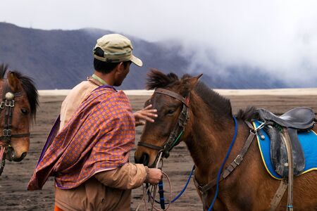 Horseback rider at midday petting his brown horse in the valley at the Tengger Semeru National Park in East Java, Indonesia.の写真素材