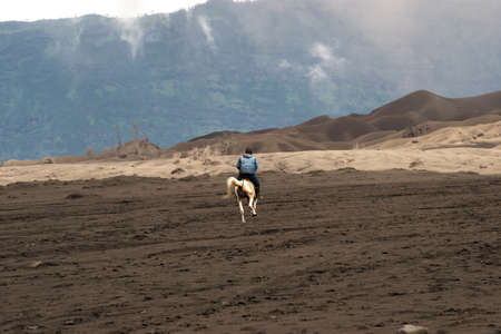 Horseback rider at midday riding his brown horse in the valley at the Tengger Semeru National Park in East Java, Indonesia.の写真素材