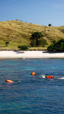 Group people snorkeling while swimming in blue water to see exotic fish under water wearing orange life jackets at midday and white sand beach at backgroundの写真素材