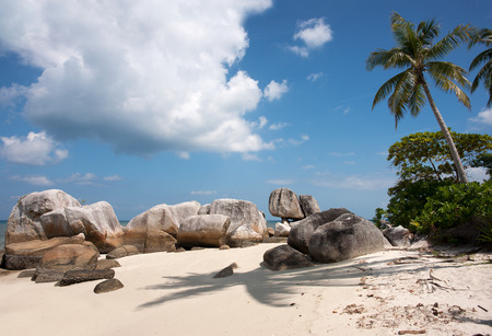 Natural rock formation in the sea and on white sand beach with a palm tree in Belitung Island in the afternoon, Indonesia.の写真素材