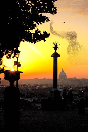 Afternoon from Pincio Terrace with S. Peter domeの写真素材