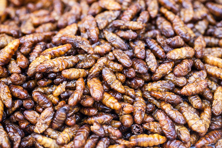Fried insects.の写真素材