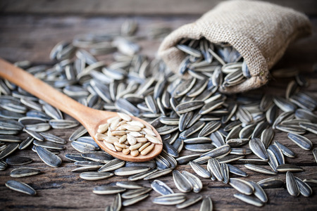 sunflower seedsの写真素材
