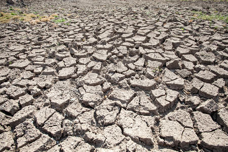 Dry land. Cracked ground background.の写真素材
