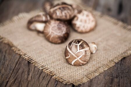 Shiitake mushroom on sackcloth and wooden backgroundの写真素材