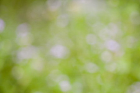 Beautiful green bokeh background
