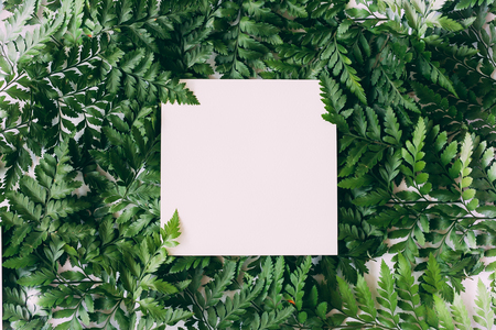 Green leaves background with white spaceの写真素材