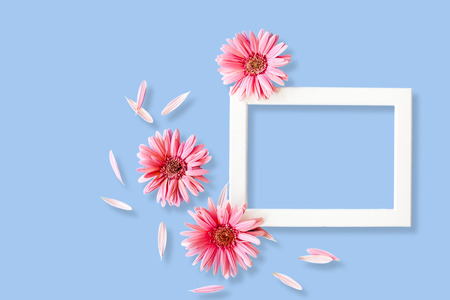 Empty frame and  gerbera flowers on colorful backgroundの写真素材