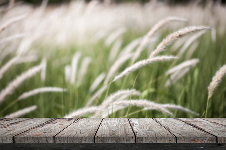 Empty wood Shelf on grass field backgroundの写真素材