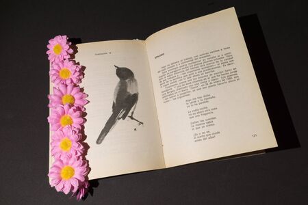 Toledo, Spain; January 13 2.018: Vintage poetry book with a black bird and pink and yellow flowers on black backgroundのeditorial素材