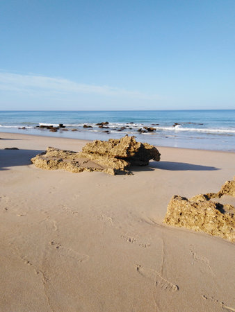 Beach in Conil de la Frontera, Cadiz coast, Andalusia, Spainの写真素材