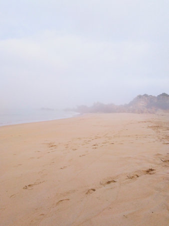Beach in Conil de la Frontera, Cadiz coast, Andalusia, Spainの写真素材