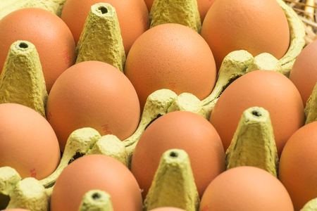 Freerange fresh raw eggs in recycled paper egg cartons or on the strawの写真素材