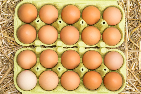 Freerange fresh raw eggs in recycled paper egg cartons or on the straw
