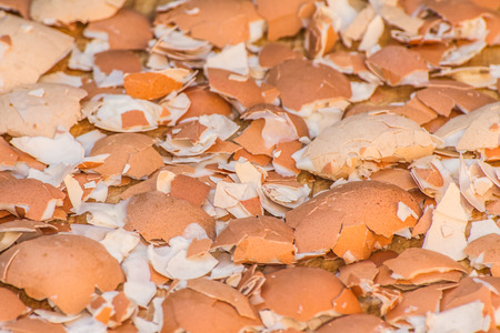 A lot of broken eggshells leftovers of boiled eggsの写真素材