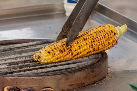 Corn roasted on fire, grilled maize, Zea maysの写真素材