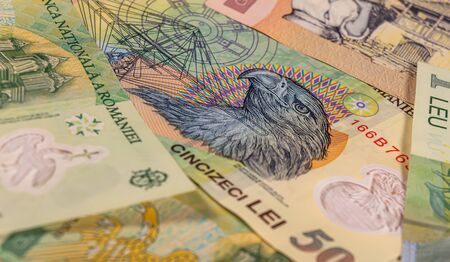 A composition of Romanian leu banknotes providing great options to be used for illustrating subjects as business, banking, media, presentations etc.の写真素材