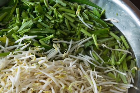 Bean sprouts and Ipomoea aquatica that prepared for cookingの写真素材