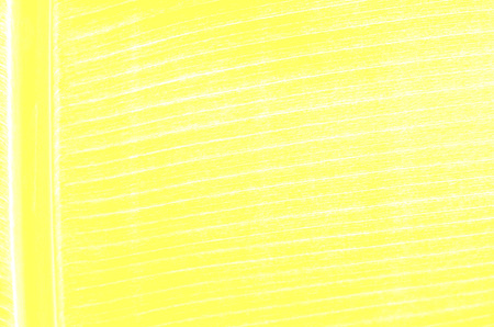 Banana leaf backgroundの写真素材