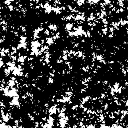 Black Leafの写真素材