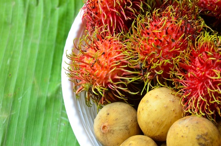 Rambutan and langsard in the basketの写真素材