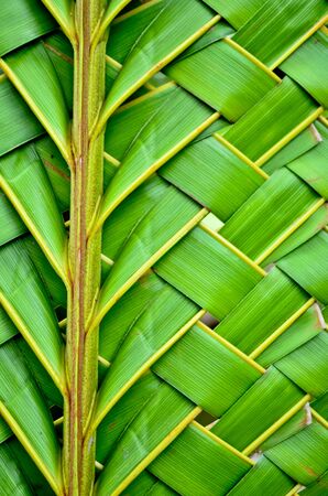 Weaving coconut leaves textureの写真素材