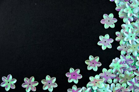 Blue flowers with black backgroundの写真素材