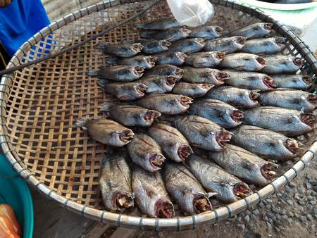 salted fish in basketの写真素材