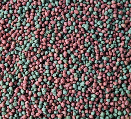 detail colorful of fish food  for backgroundの写真素材
