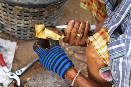 Detail old woman peeling mango seed for backgroundの写真素材