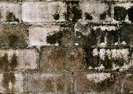 dirty old wallの写真素材