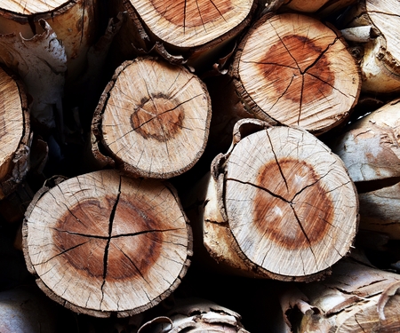 pile of old firewood for backgroundの写真素材