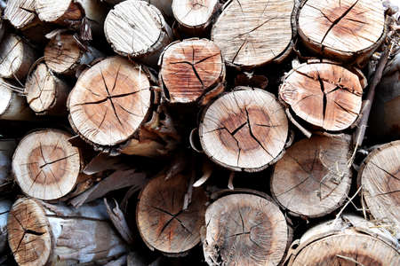 pile of old firewood for backgroundの写真素材