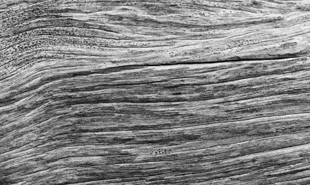 line on old wooden for backgroundの写真素材