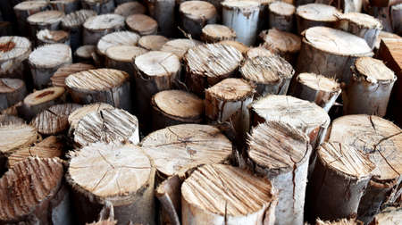 pile of old firewood for backgroundの写真素材