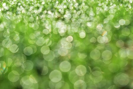 bokeh green circle light for backgroundの写真素材