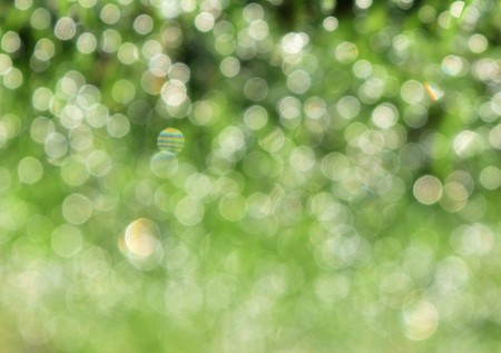 bokeh green circle light for backgroundの写真素材